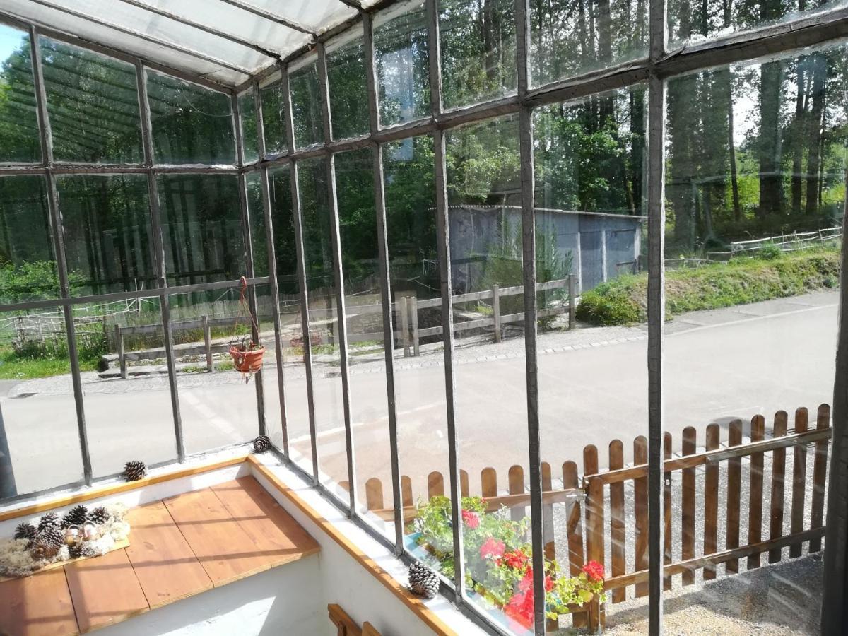 Petit gîte cocoon Ty Bihan Ar Feunteun Scrignac Extérieur photo